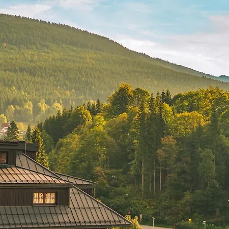 Savoy Loft Apartment *