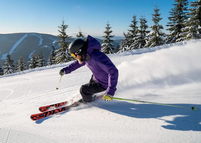 Apartment Savoy Loft *